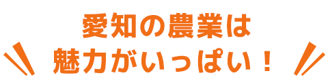 愛知の農業は魅力がいっぱい！