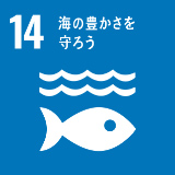 14．海の豊かさを守ろう