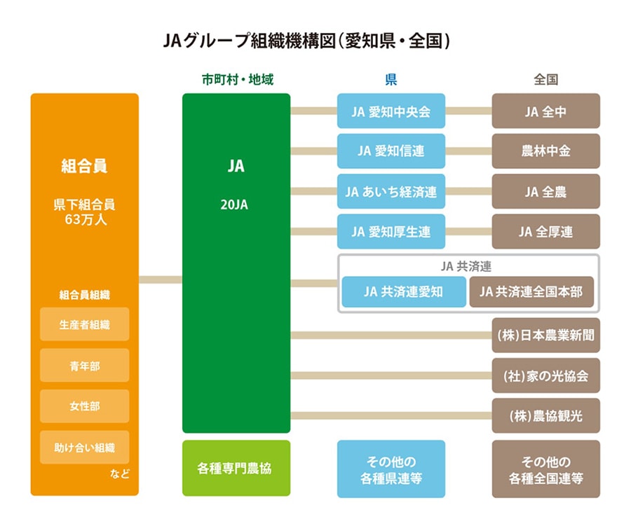 ＪＡグループ組織機構図（愛知県・全国）