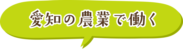 愛知の農業で働く